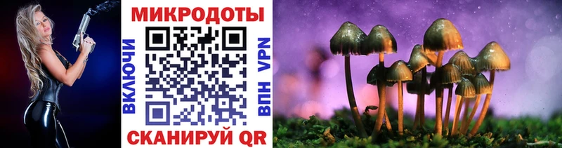 купить  цена  Палласовка  Галлюциногенные грибы прущие грибы 